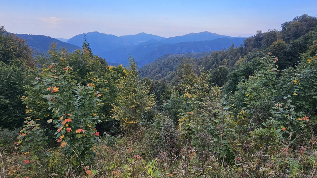 Forested mountain ridge along the Dilijan trail in autumn light, Armenia