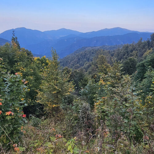 Forested mountain ridge along the Dilijan trail in autumn light, Armenia