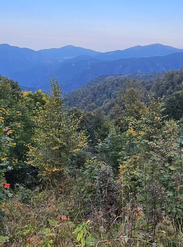 Forested mountain ridge along the Dilijan trail in autumn light, Armenia