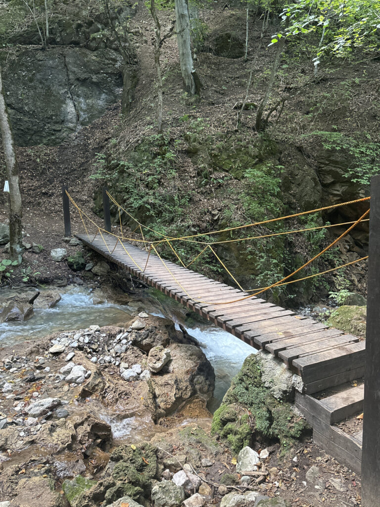 Wooden suspension footbridge crossing a rocky stream on the Armenia trek