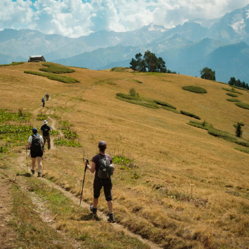 Hikers descending a golden grassy hillside trail in Svaneti, Georgia