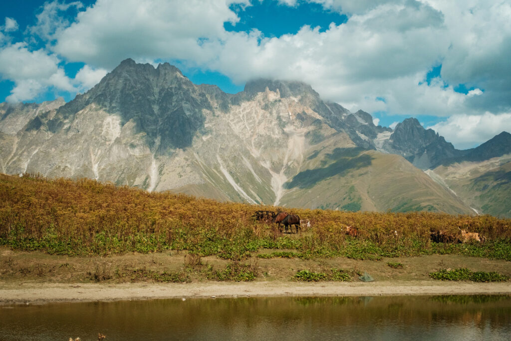 Horses grazing on a rocky mountain slope beneath a jagged Caucasus peak, Svaneti, Georgia